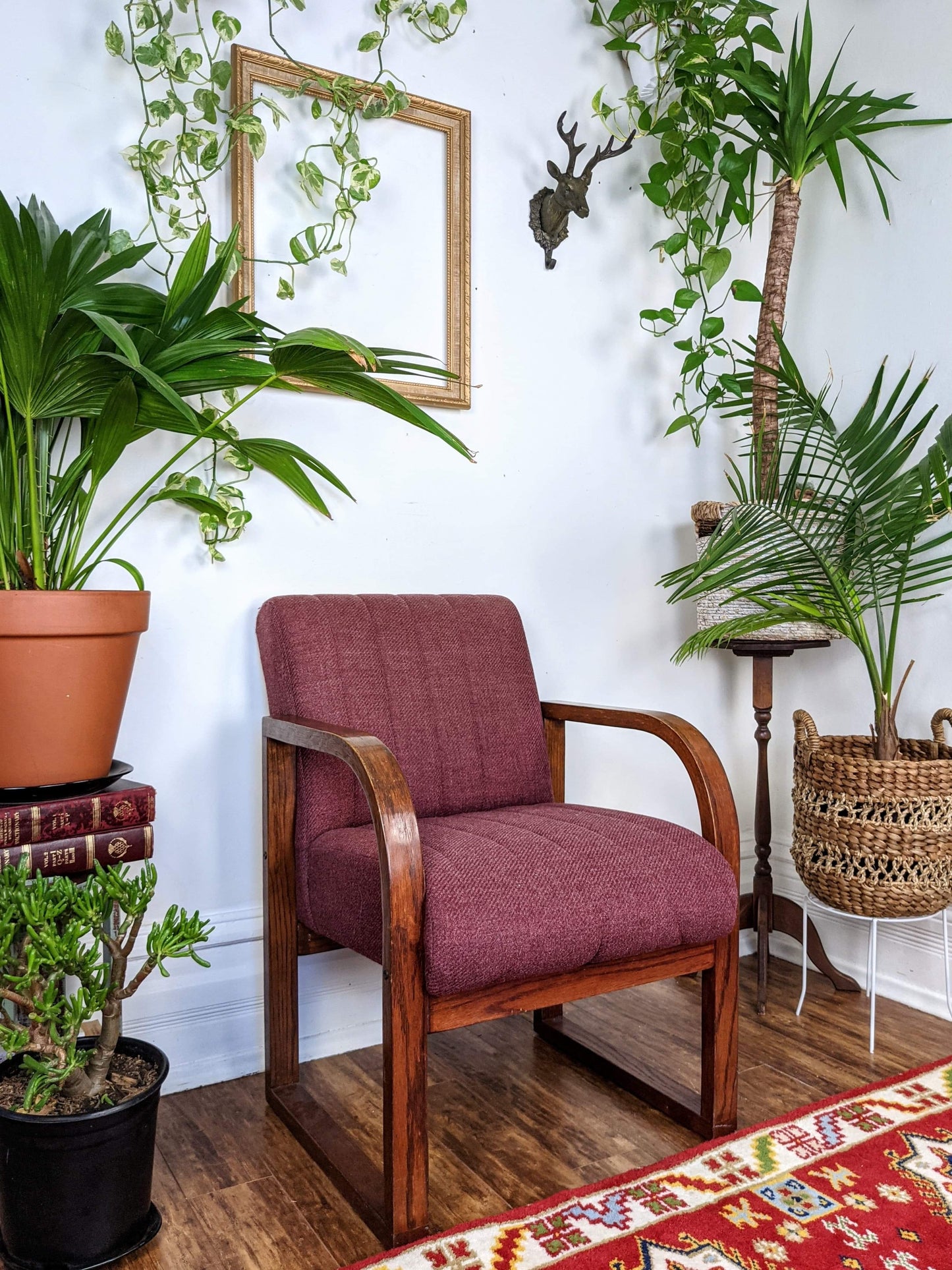 The Coral Tree Chairs