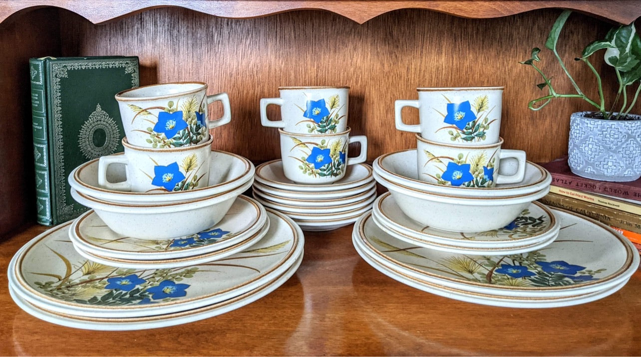 The Mikasa Susuki Stoneware Set