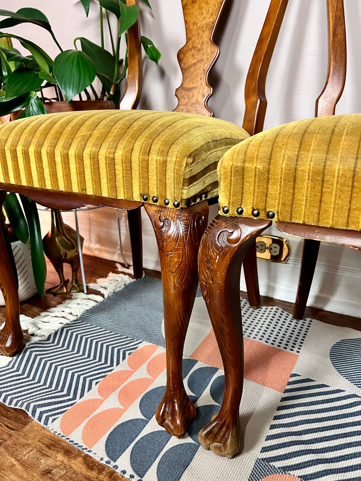 The Magnificent Mustard Chairs