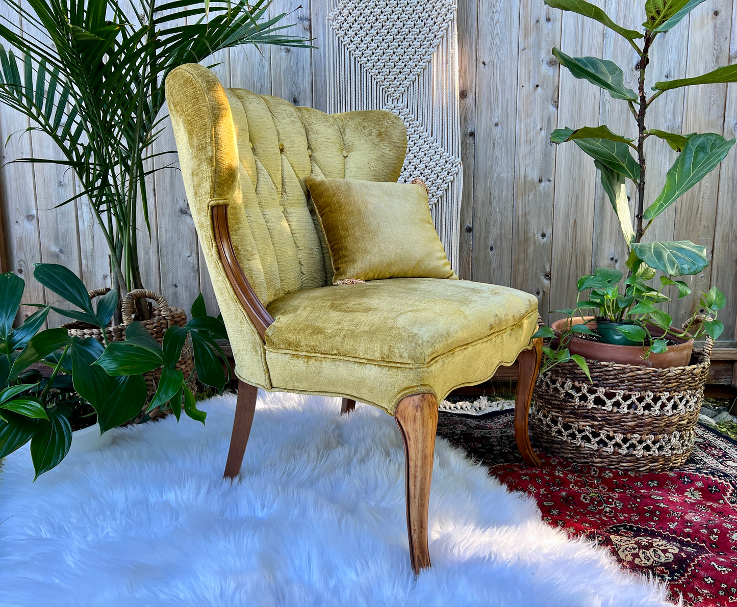 The Francine & Gilbert Chairs