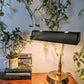 The Reddington Readers Lamp