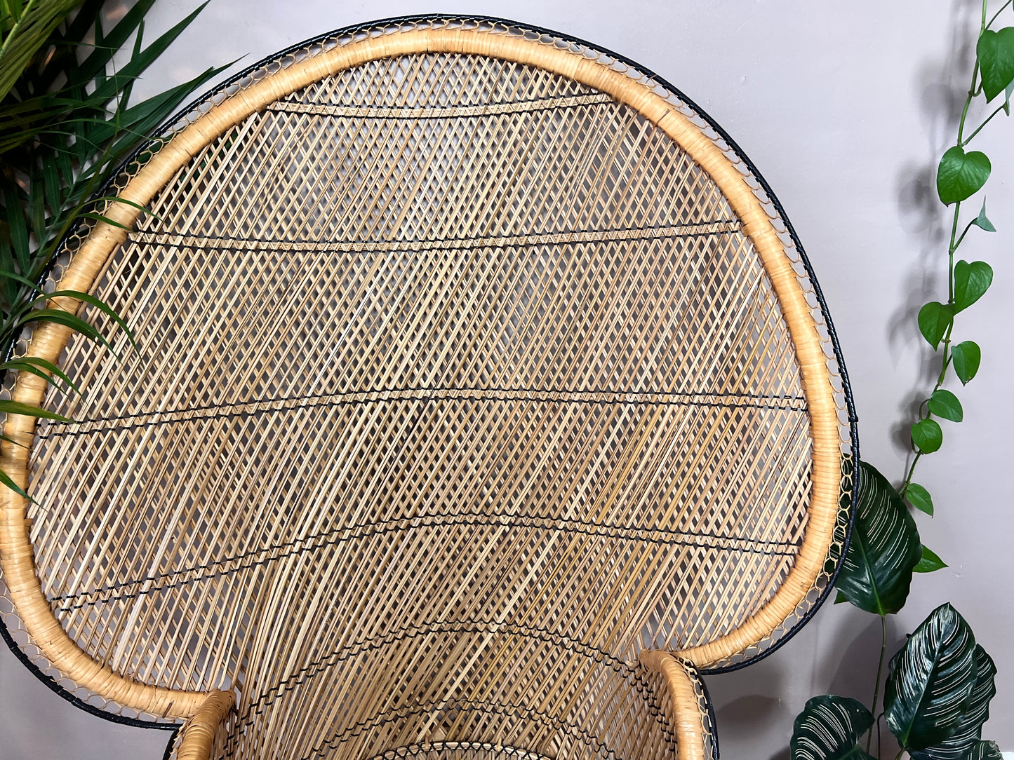 The Peacock Armchair