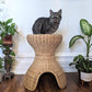 The Feline Hut & Plant Stand