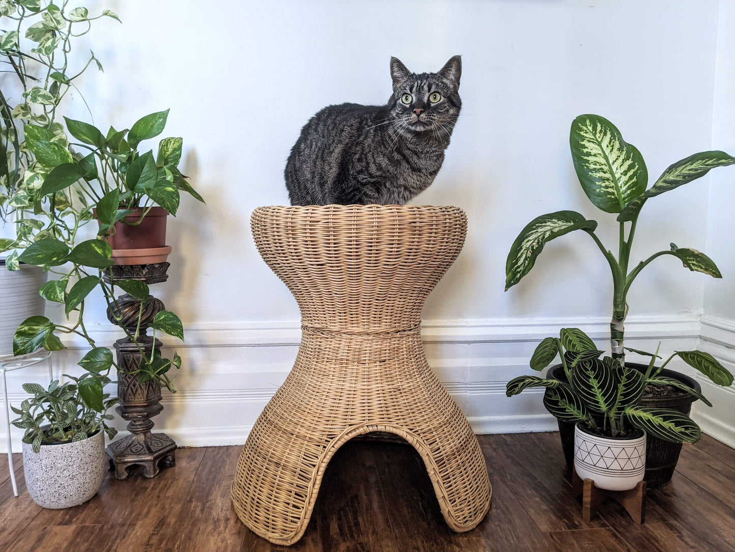 The Feline Hut & Plant Stand