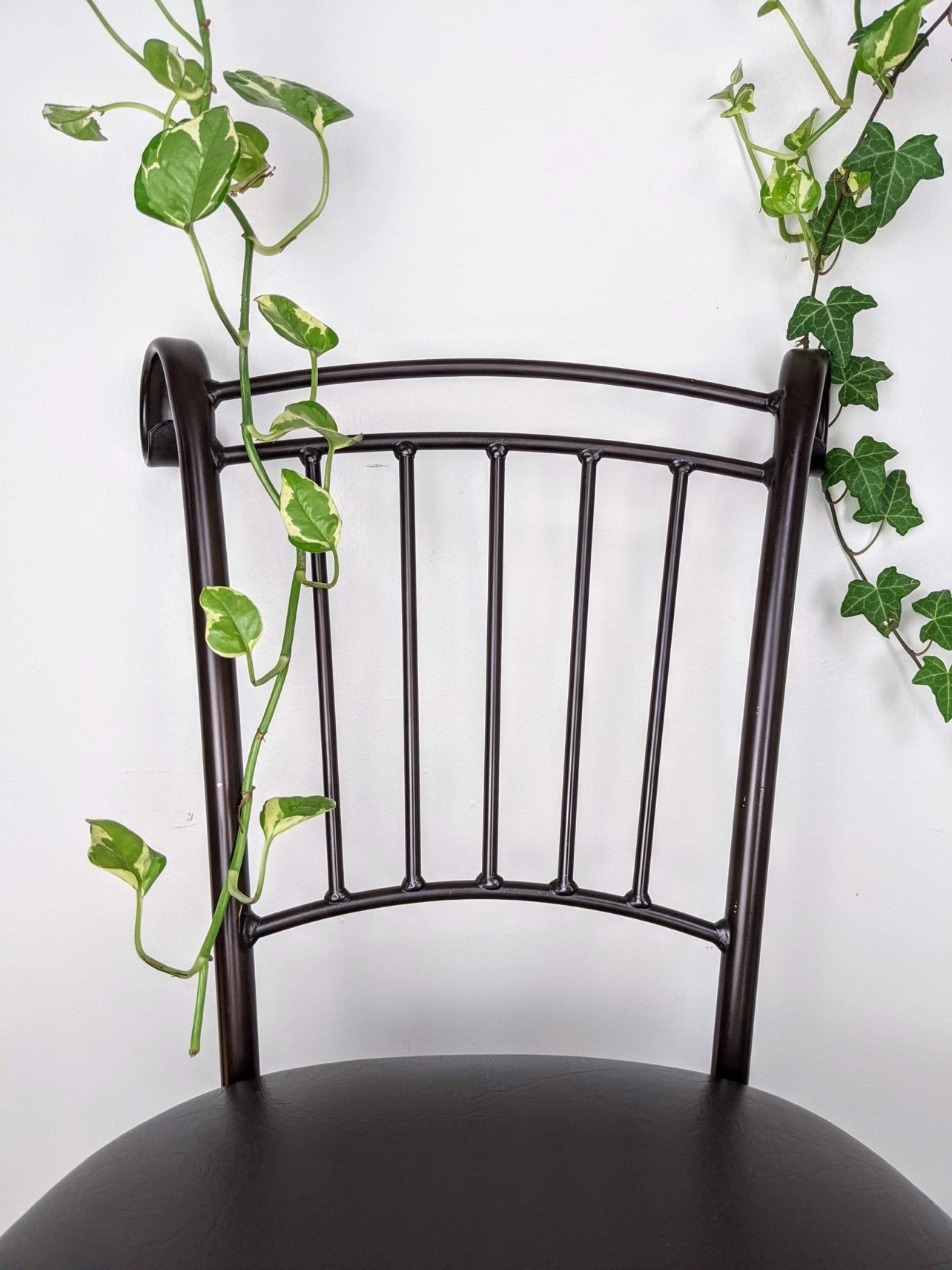 The Chocolate Pudding Stools