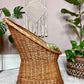 The Zoran Wicker Bucket Chairs