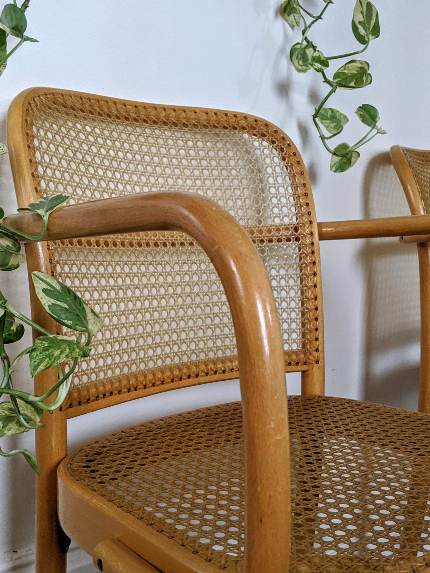 The Prague Bentwood Chairs(Only 1 left!)
