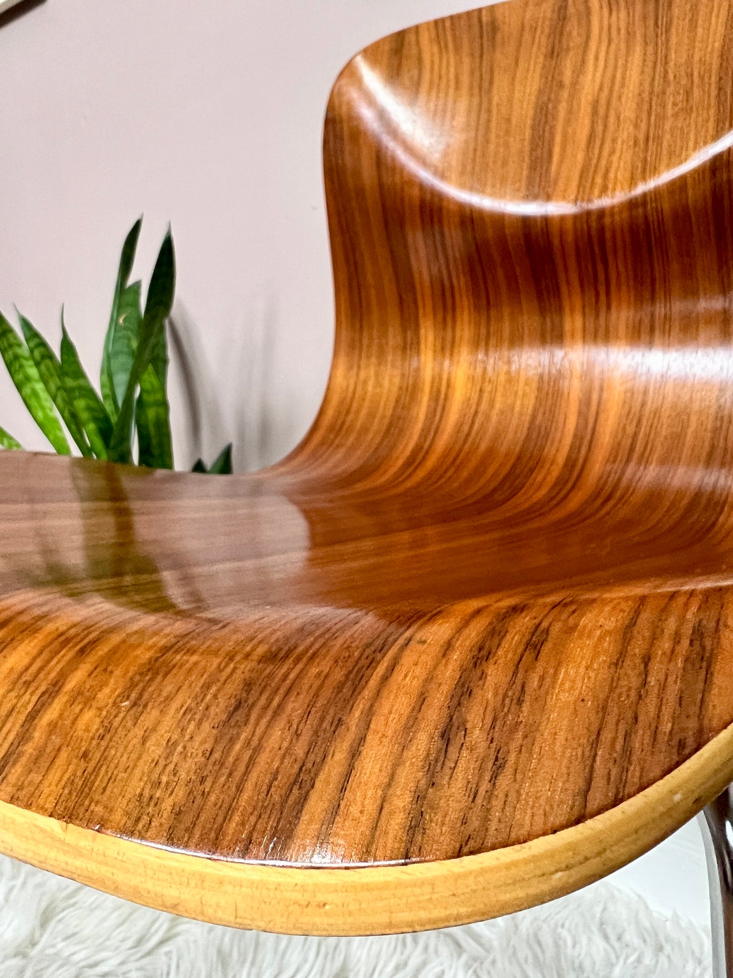 The Bergamot Chairs