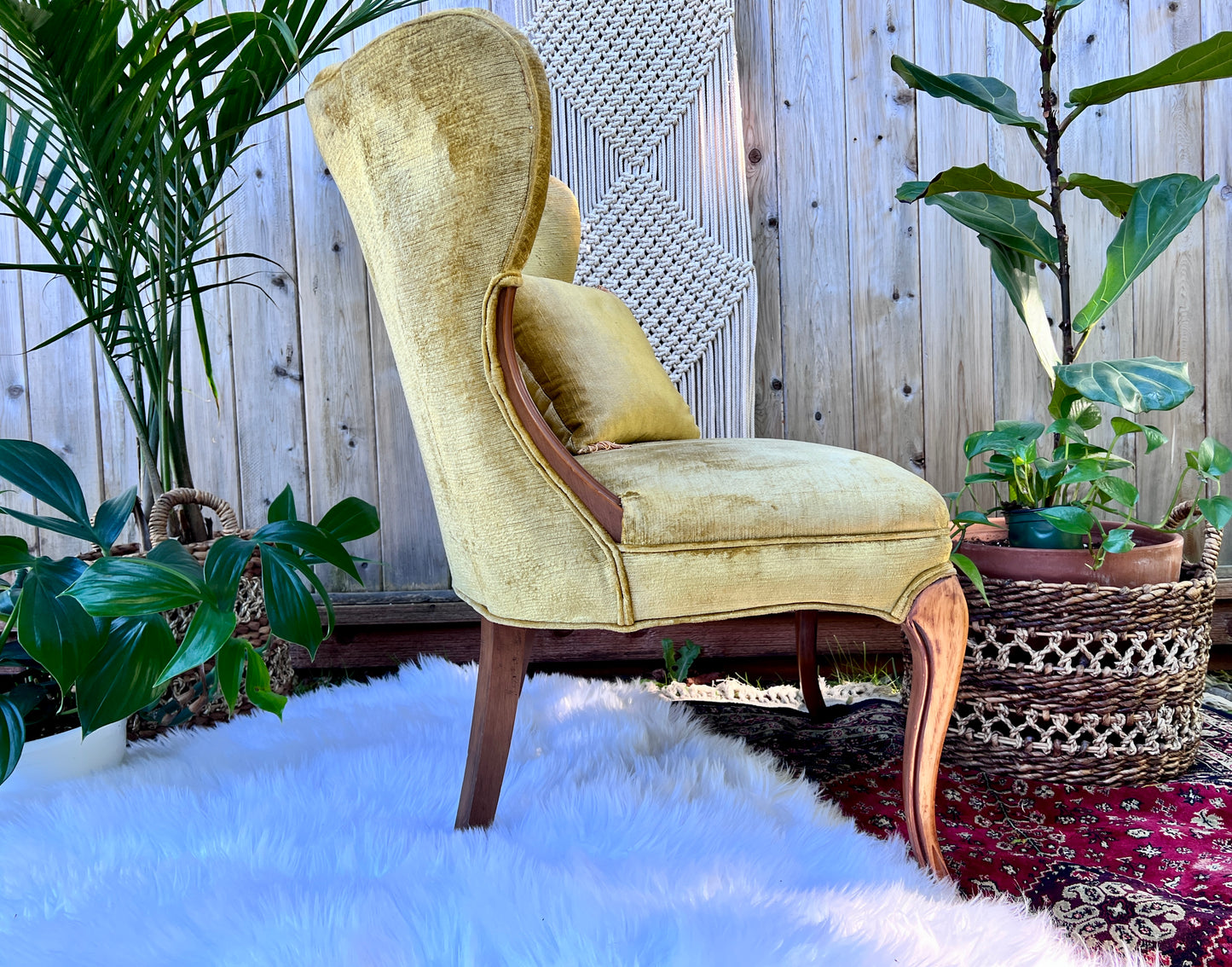 The Francine & Gilbert Chairs