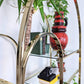 The Hanging Garden Etagere