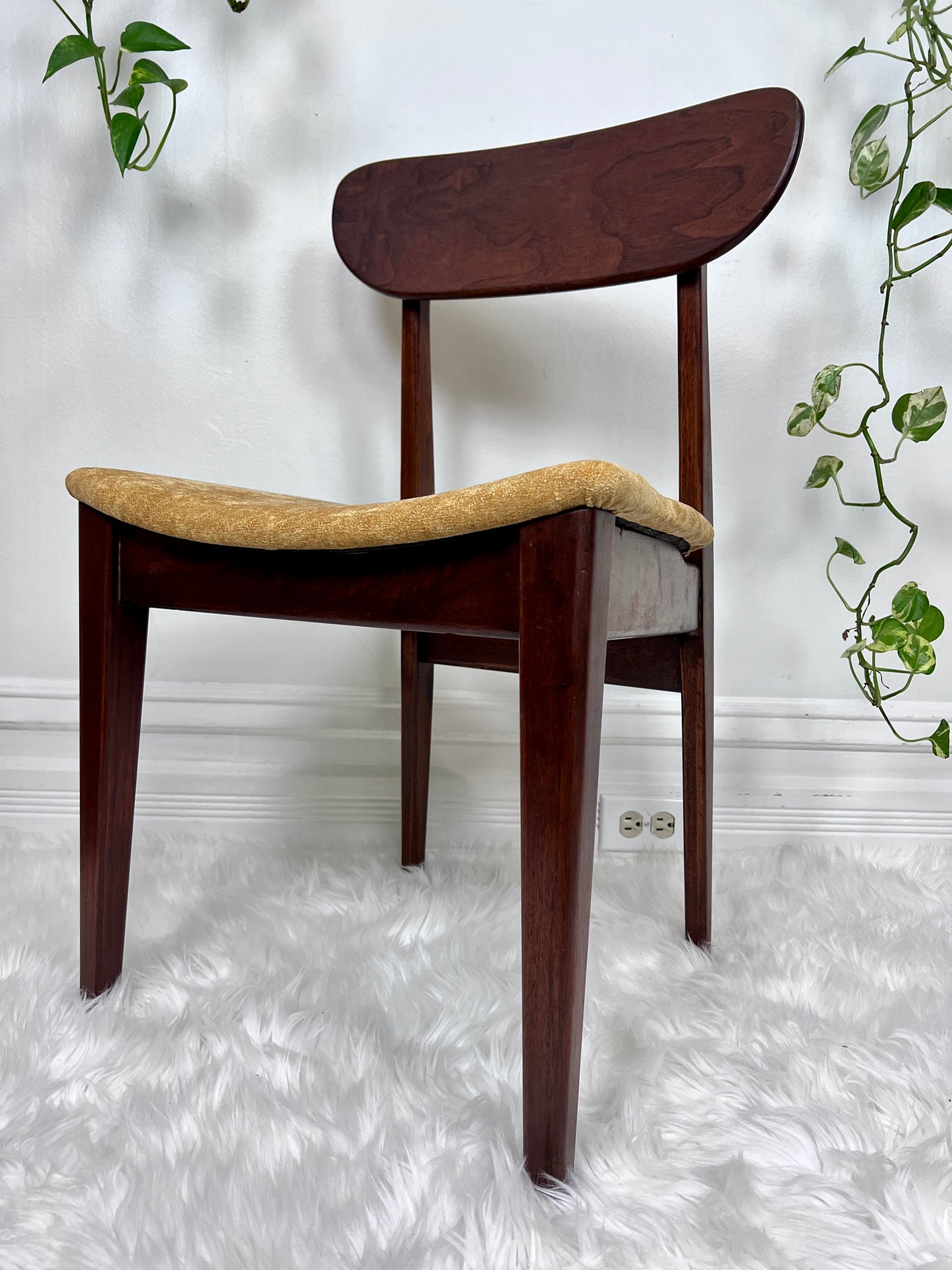 The Valmar Chairs