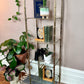 The Regency Brass Shelf