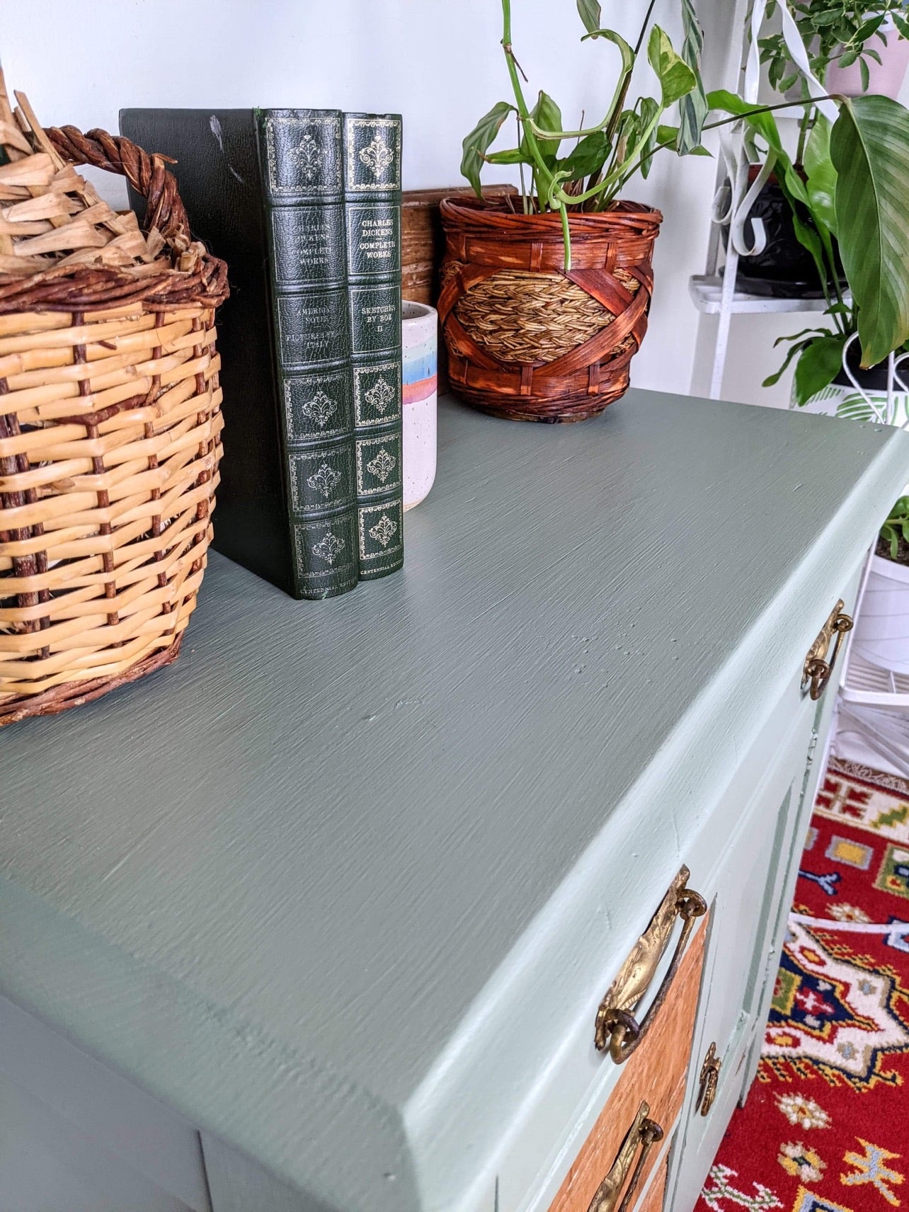 The Jungle Mist Cabinet