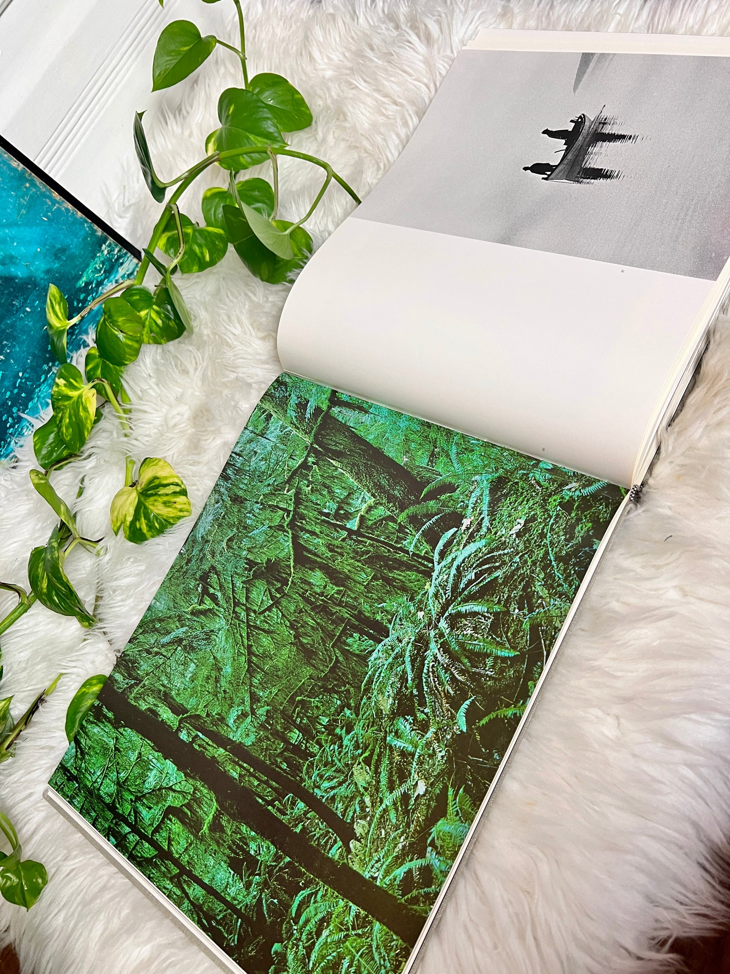 NFB Of Canada A Year Of The Land Book