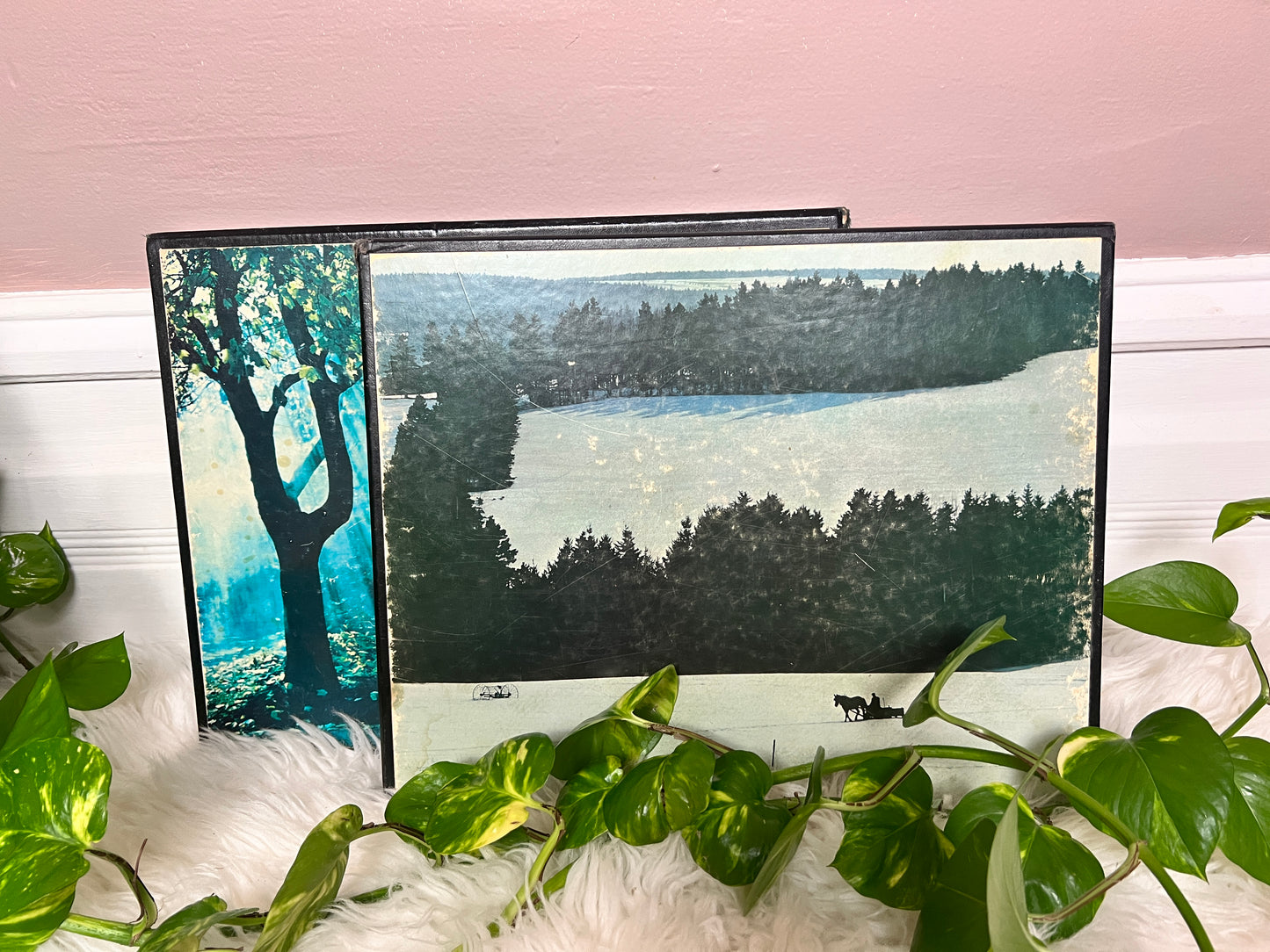 NFB Of Canada A Year Of The Land Book