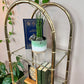 The Regency Brass Shelf