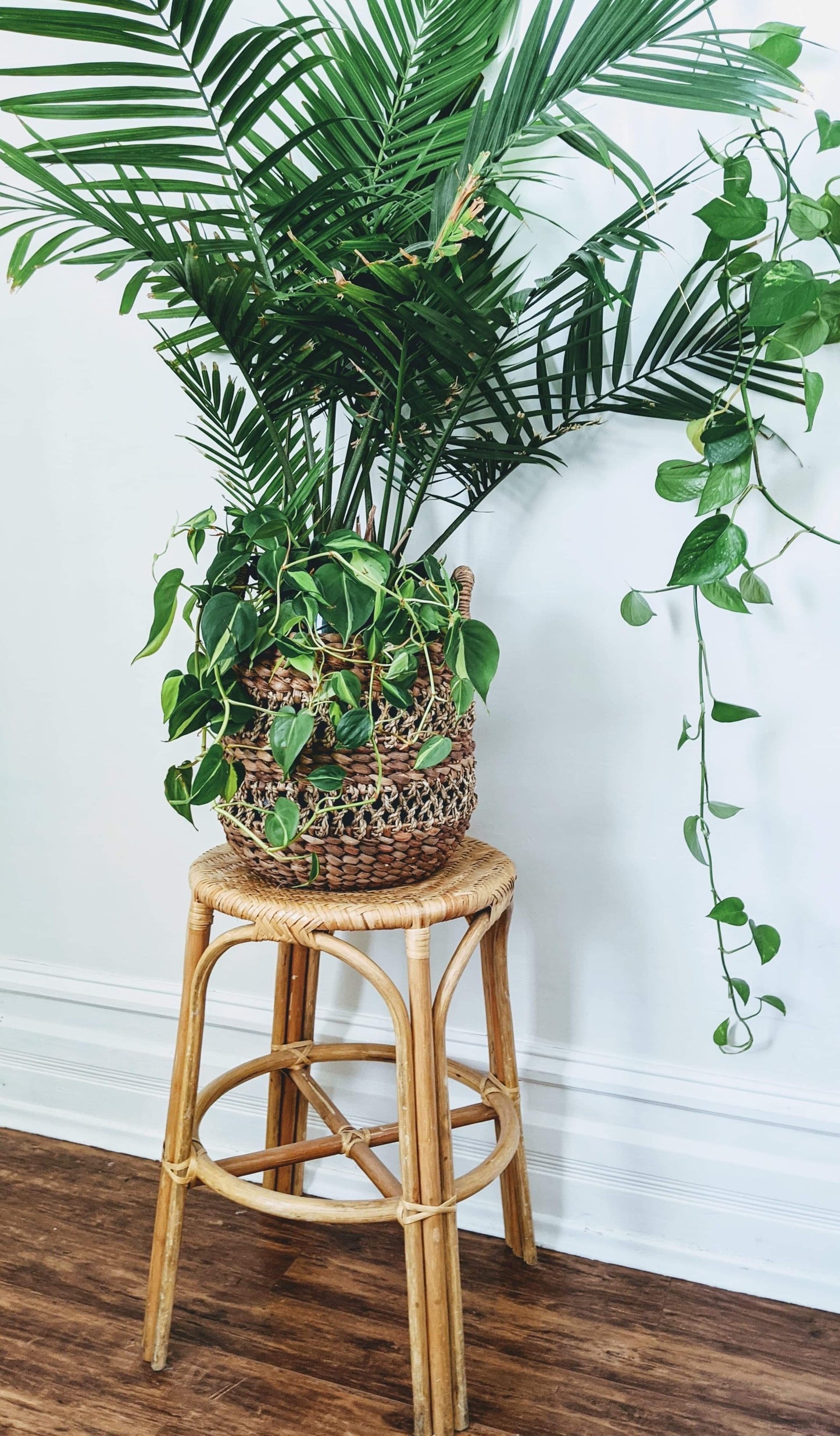 The Bombay Plant Stand