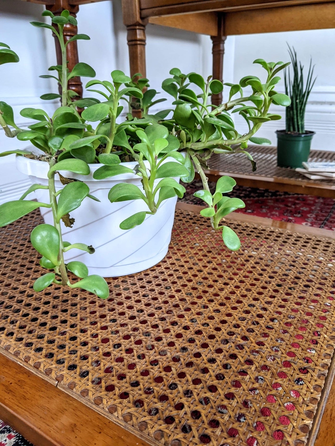 The Cane & Able Tables