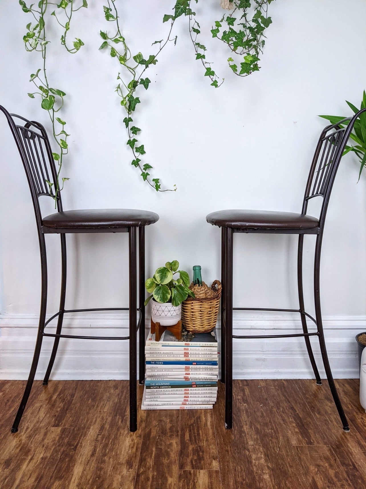 The Chocolate Pudding Stools