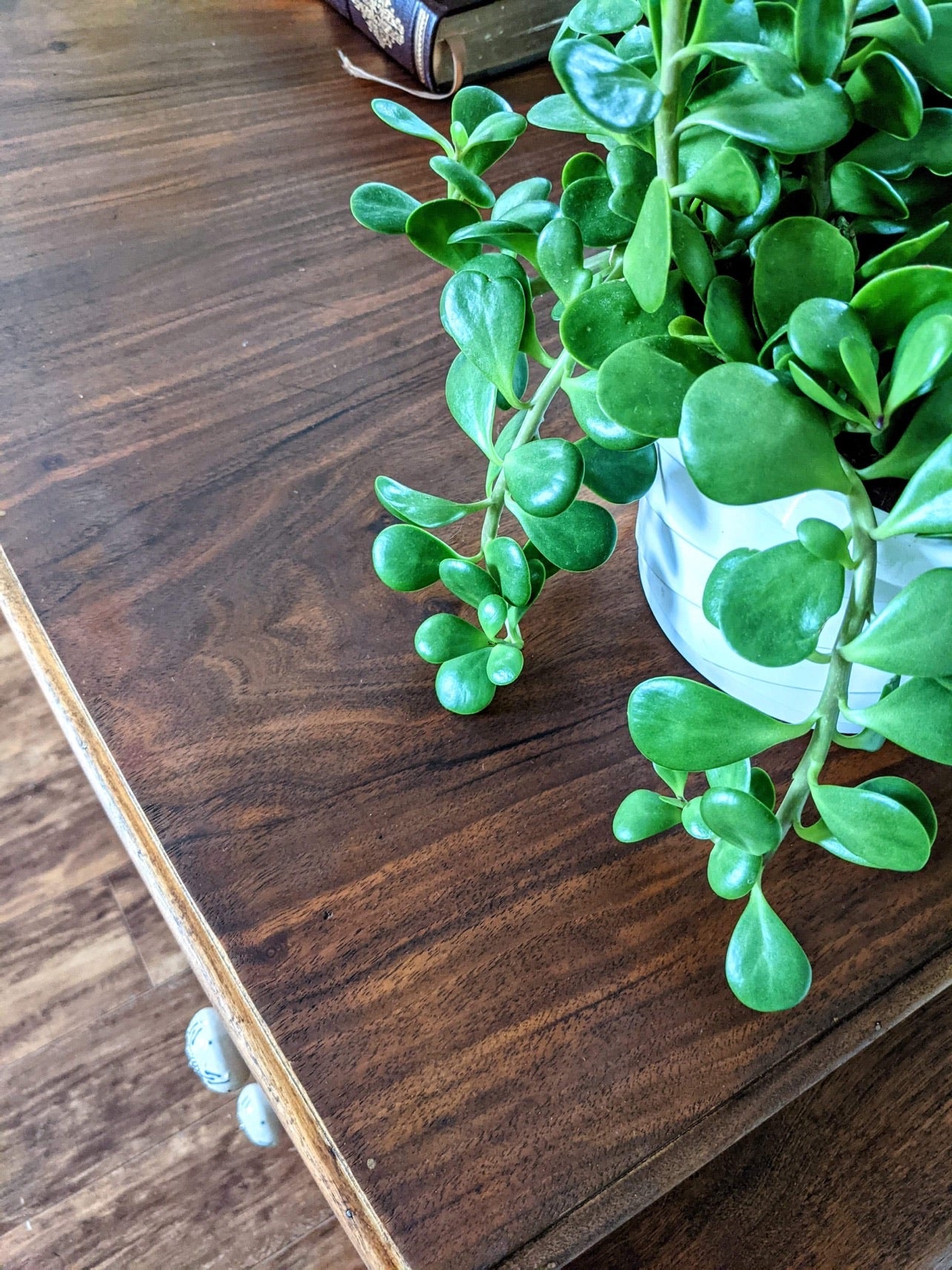 The Wednesday Vanity Dresser