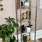 The Regency Brass Shelf