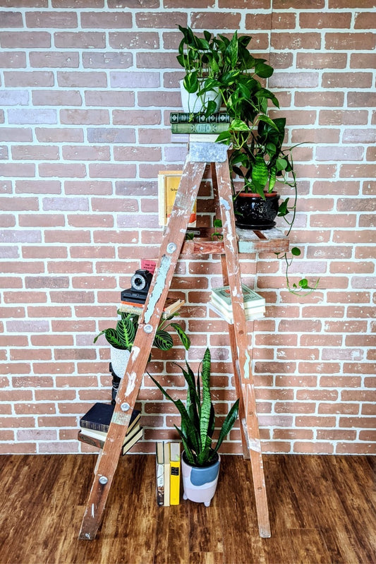 Vintage Ladder Shelf Paint Splatter Plants Victoria BC Secondhand