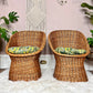 The Zoran Wicker Bucket Chairs