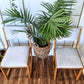The Silver Fox Chairs (Only 1 left!)