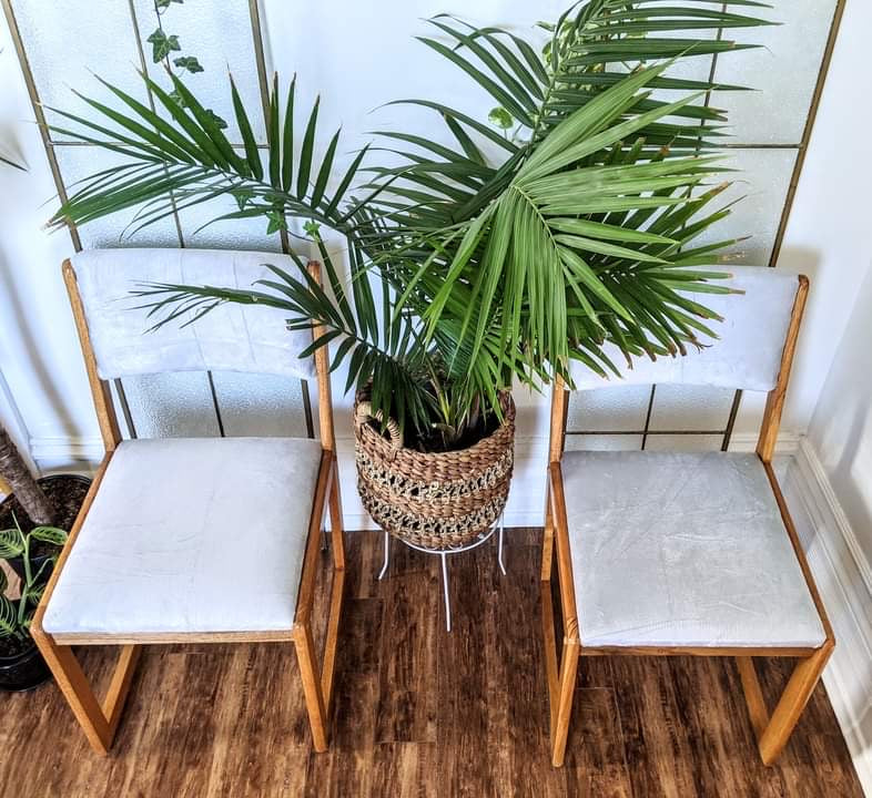 The Silver Fox Chairs (Only 1 left!)