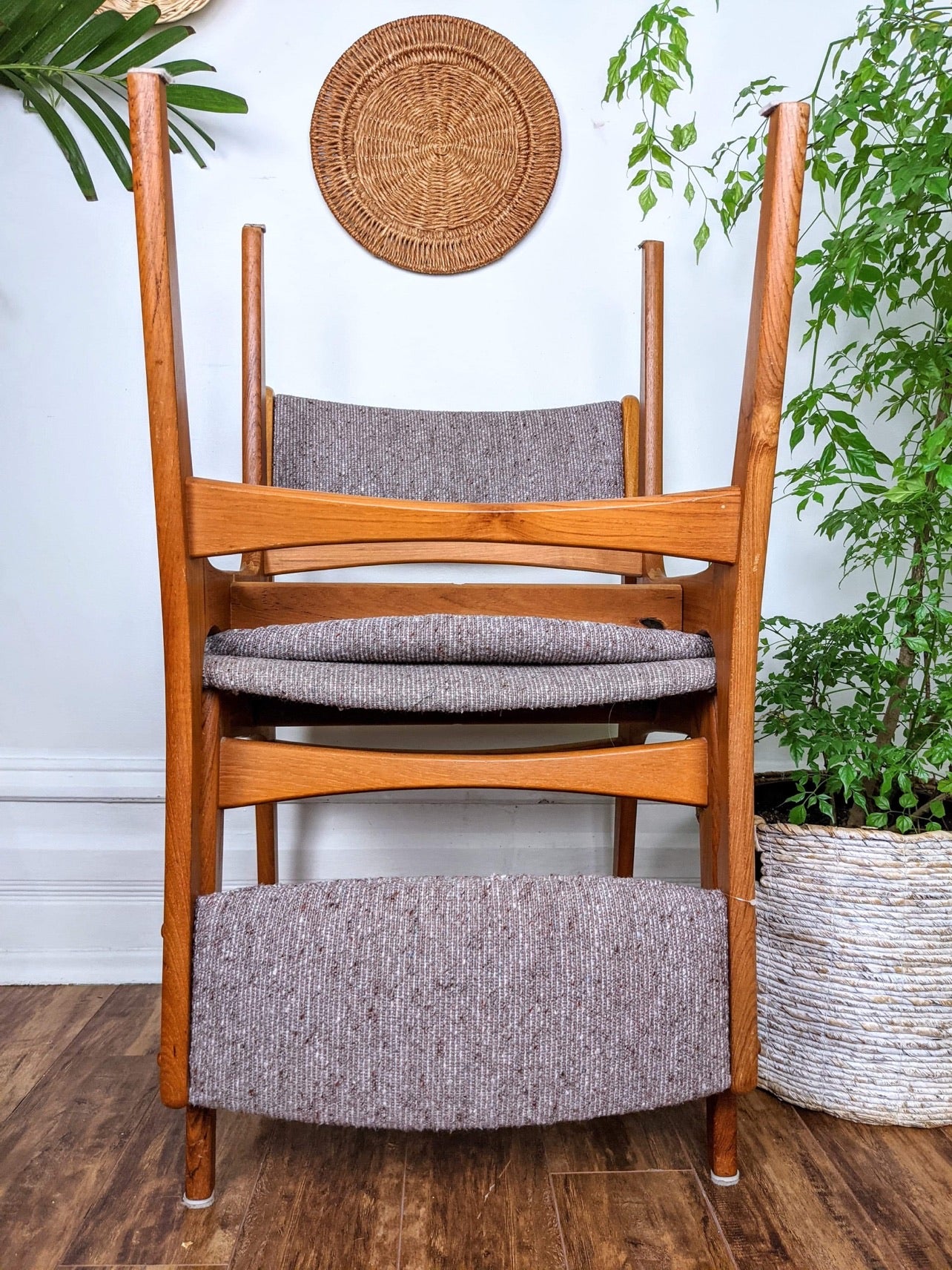 The Magnus Teak Chairs