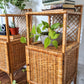 The Franco Wicker Side Tables