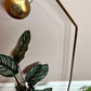 The Pratchett Lamp
