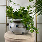 The Kaze Pot