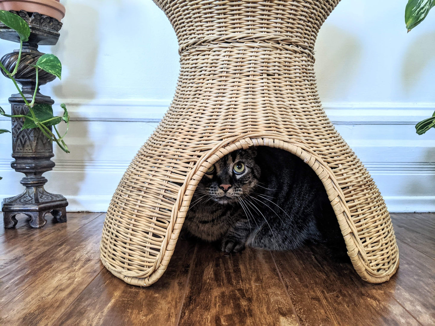 The Feline Hut & Plant Stand