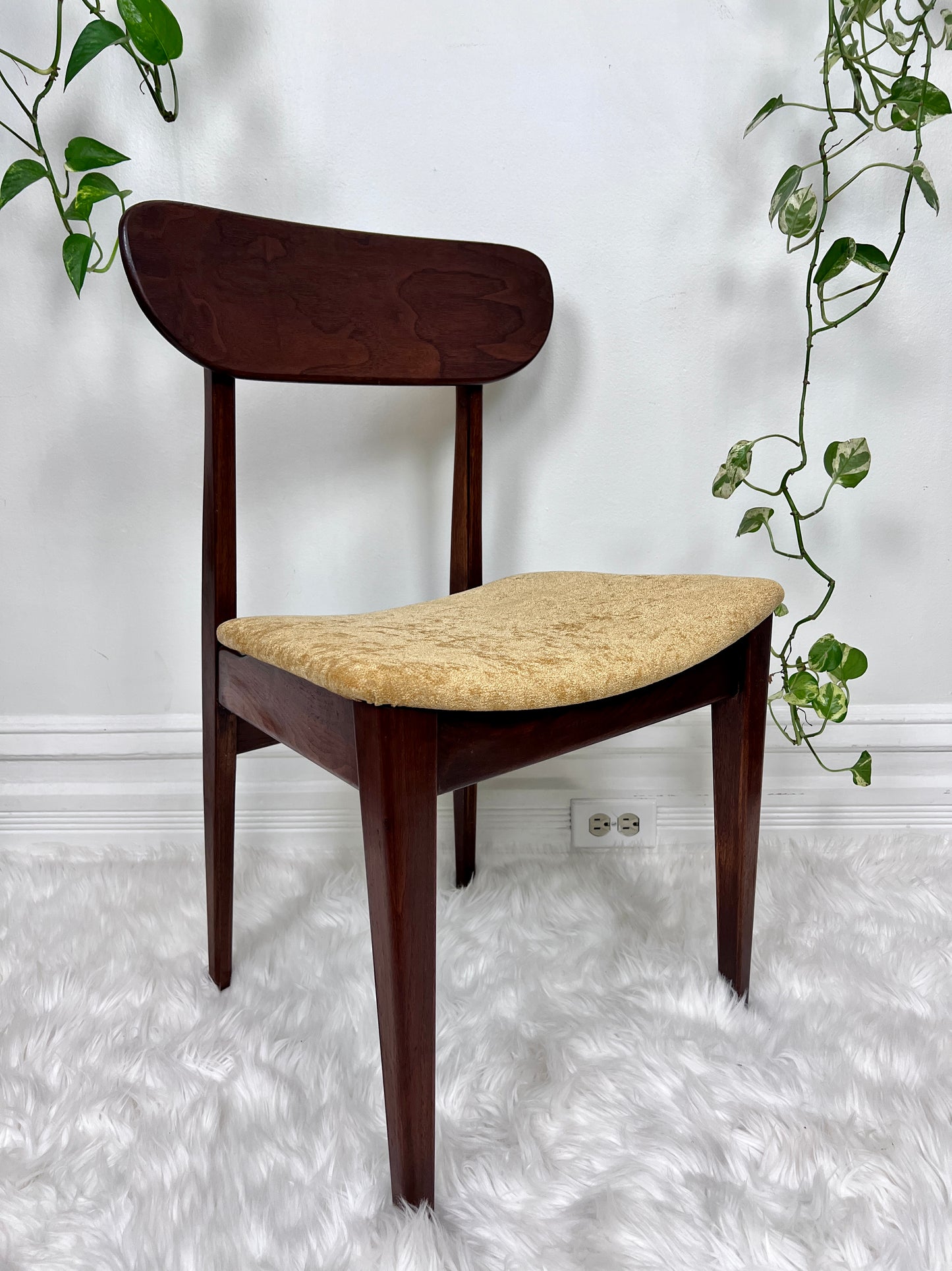 The Valmar Chairs