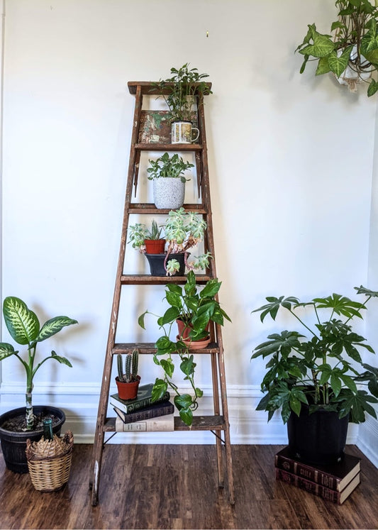 It’s A Ladder Shelf!