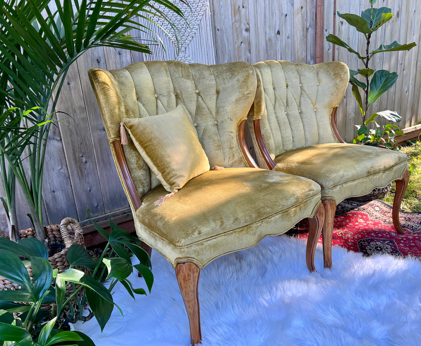 The Francine & Gilbert Chairs