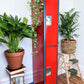 The Red Station Locker