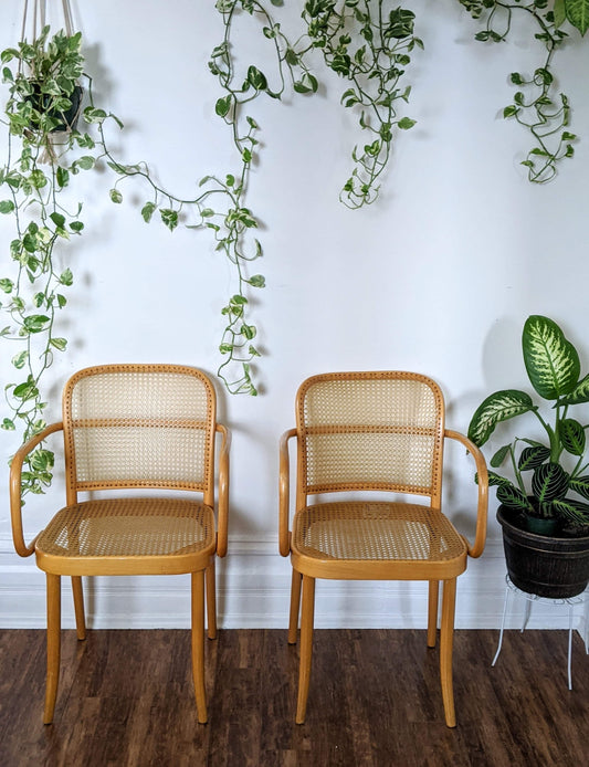 The Prague Bentwood Chairs(Only 1 left!)