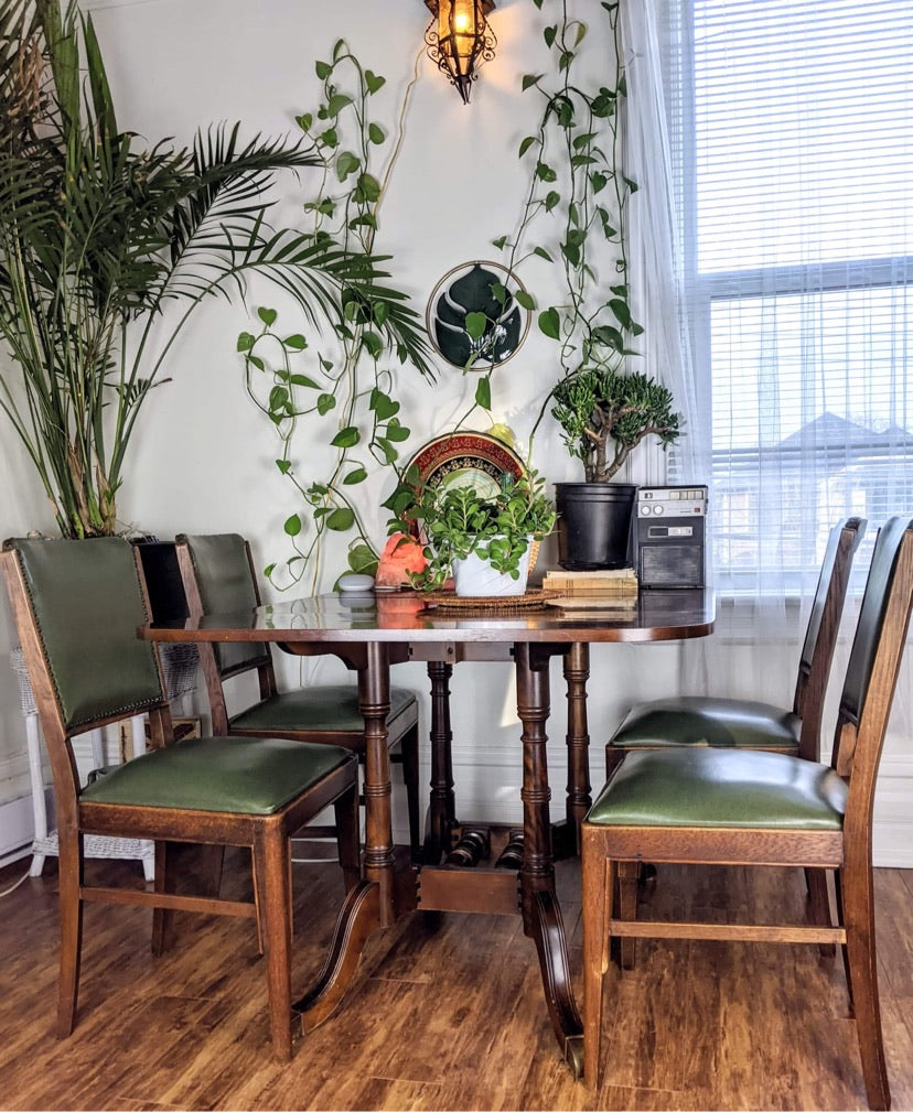 The Succulent Chairs