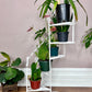The Spiral Staircase Plant Stand