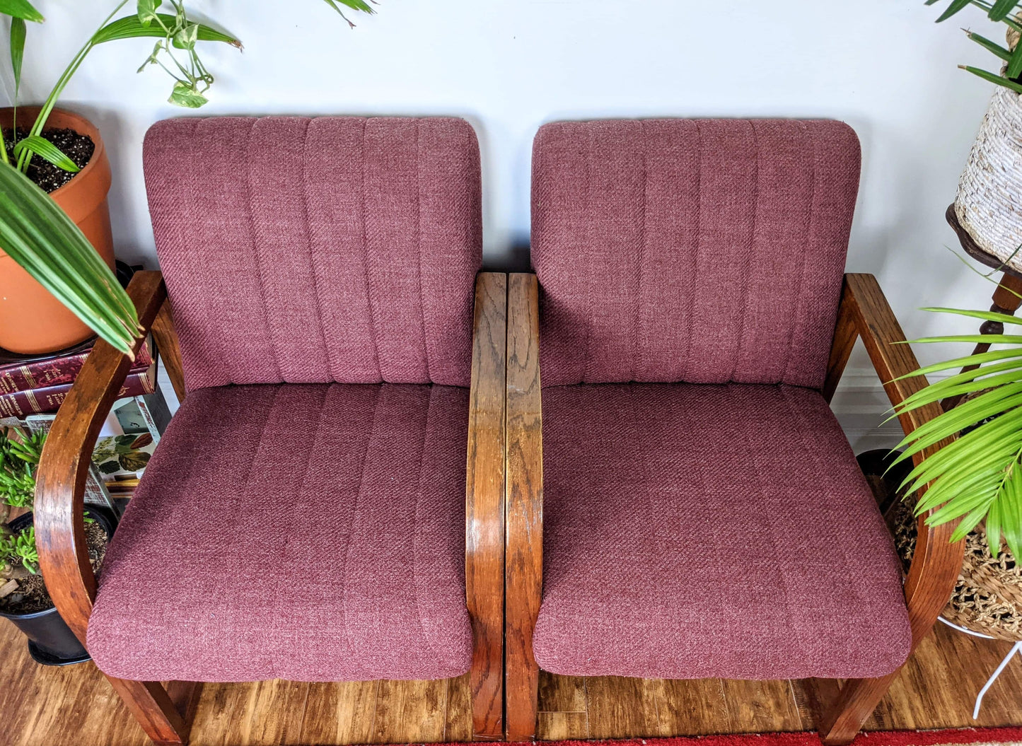 The Coral Tree Chairs