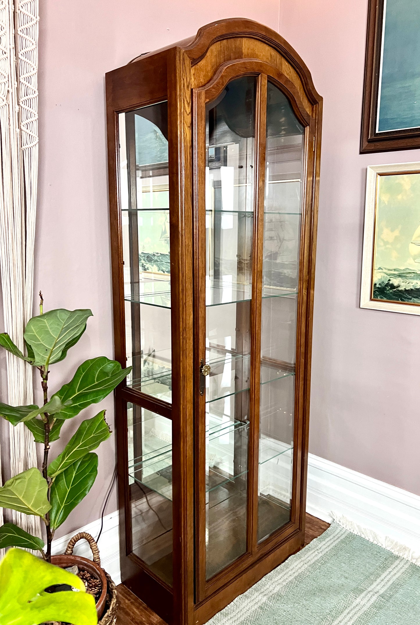 The Orwell Display Cabinet