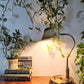 The Reddington Readers Lamp