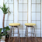 The Lime Lounge Stools