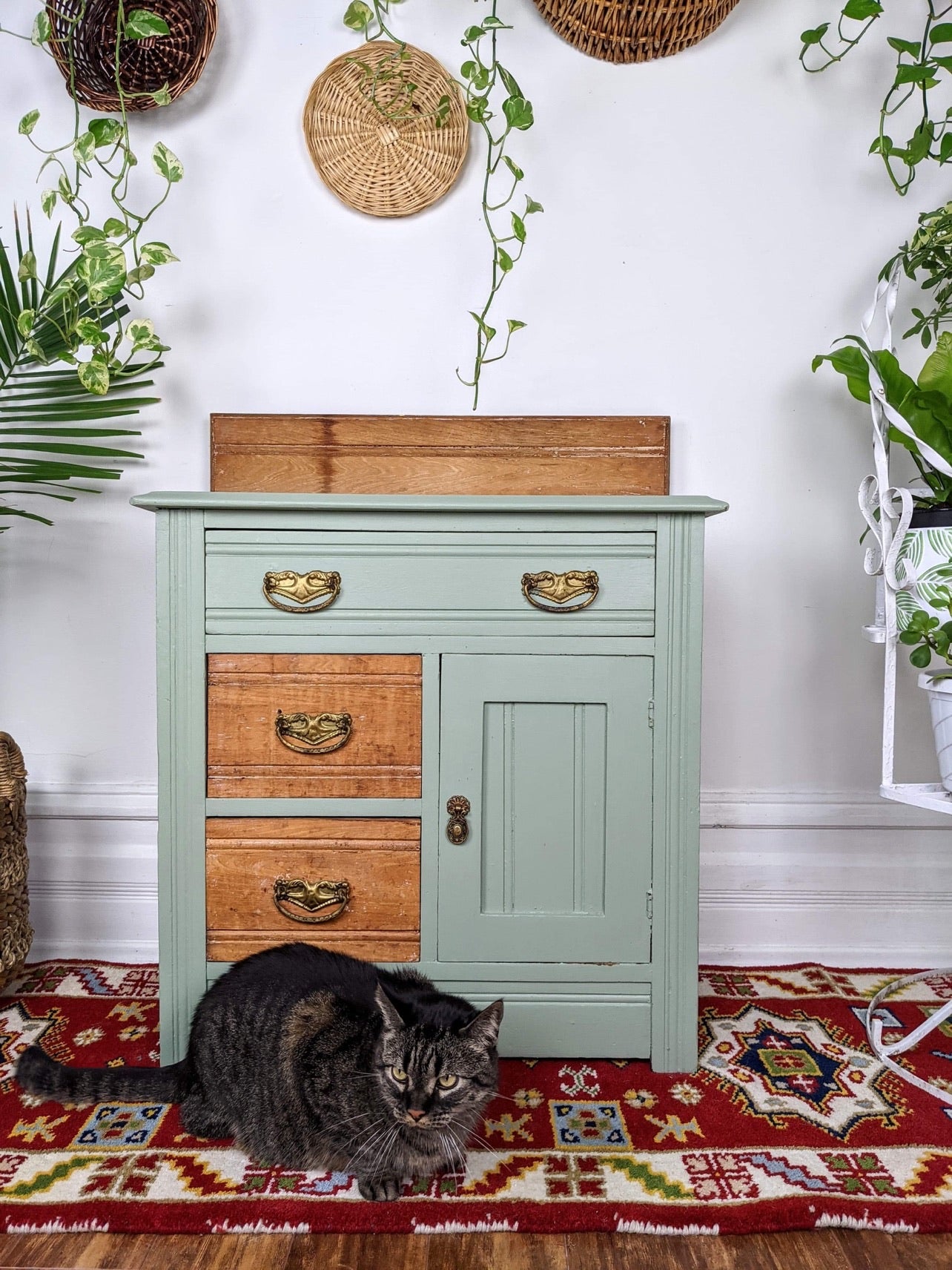 The Jungle Mist Cabinet