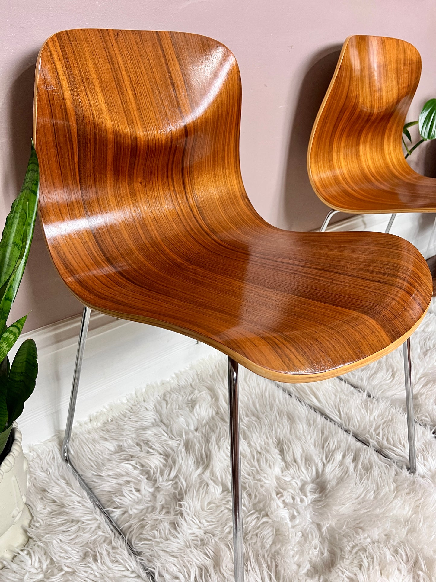 The Bergamot Chairs