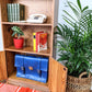 The Baltimore Bookshelf
