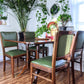 The Succulent Chairs
