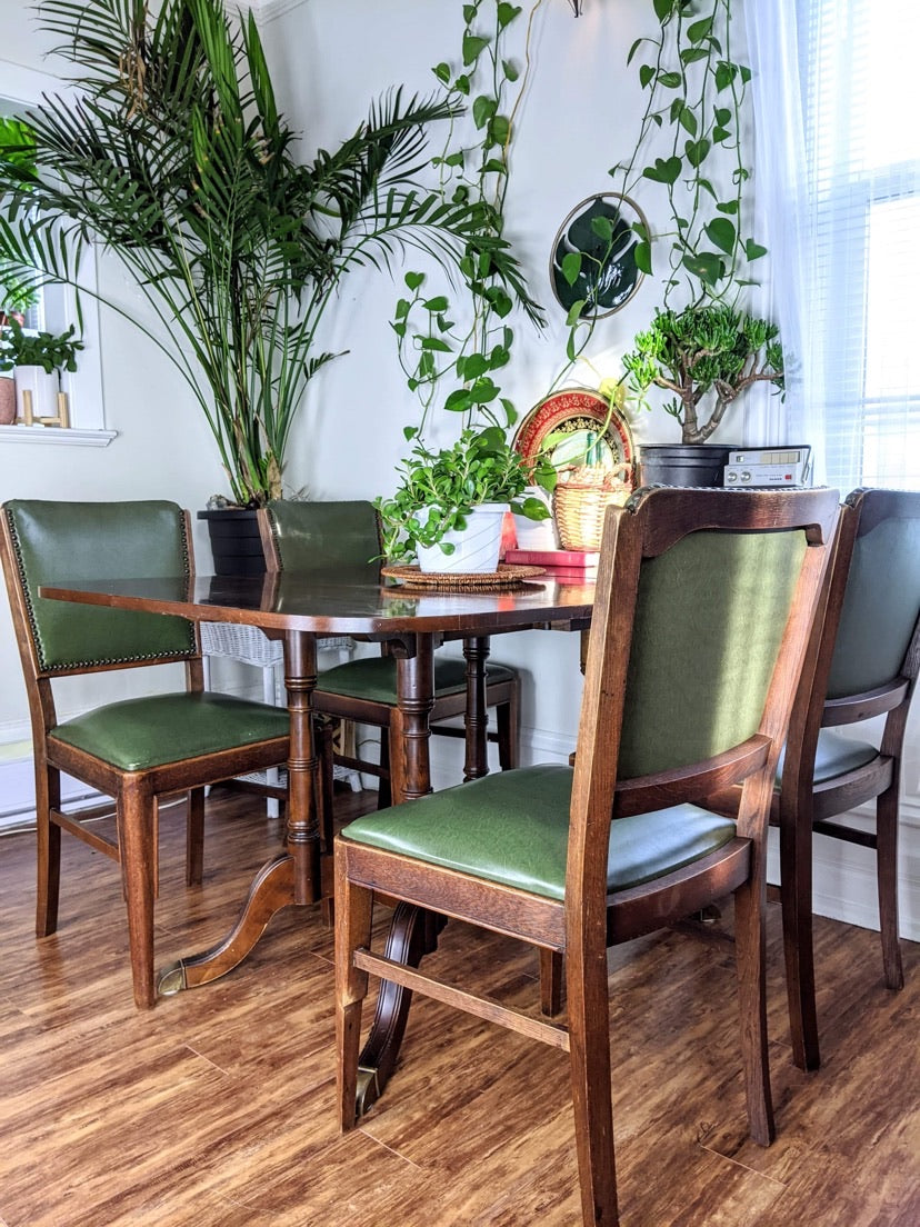 The Succulent Chairs